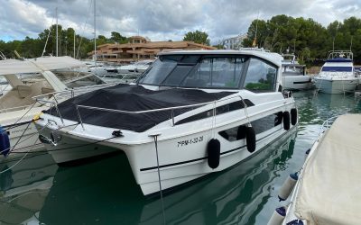 Aquila_36_2019_8